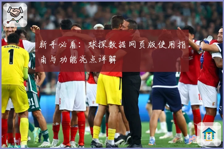 新手必看：球探数据网页版使用指南与功能亮点详解