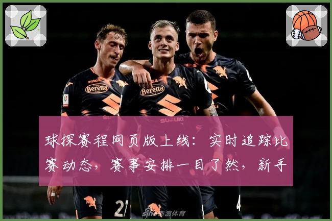 球探赛程网页版上线:实时追踪比赛动态,赛事安排一目了然,新手必备攻略解析