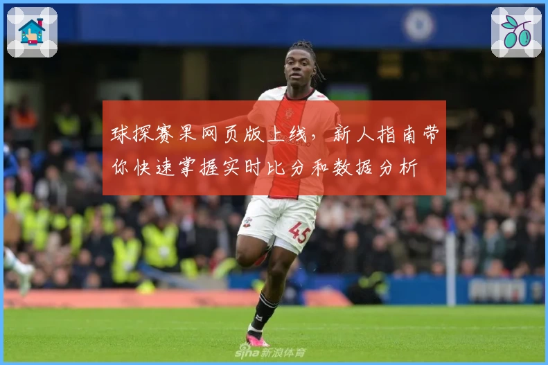 球探赛果网页版上线,新人指南带你快速掌握实时比分和数据分析