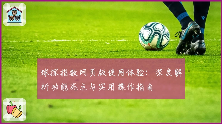 球探指数网页版使用体验：深度解析功能亮点与实用操作指南