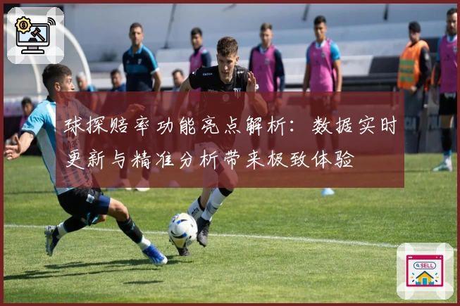 球探赔率功能亮点解析：数据实时更新与精准分析带来极致体验